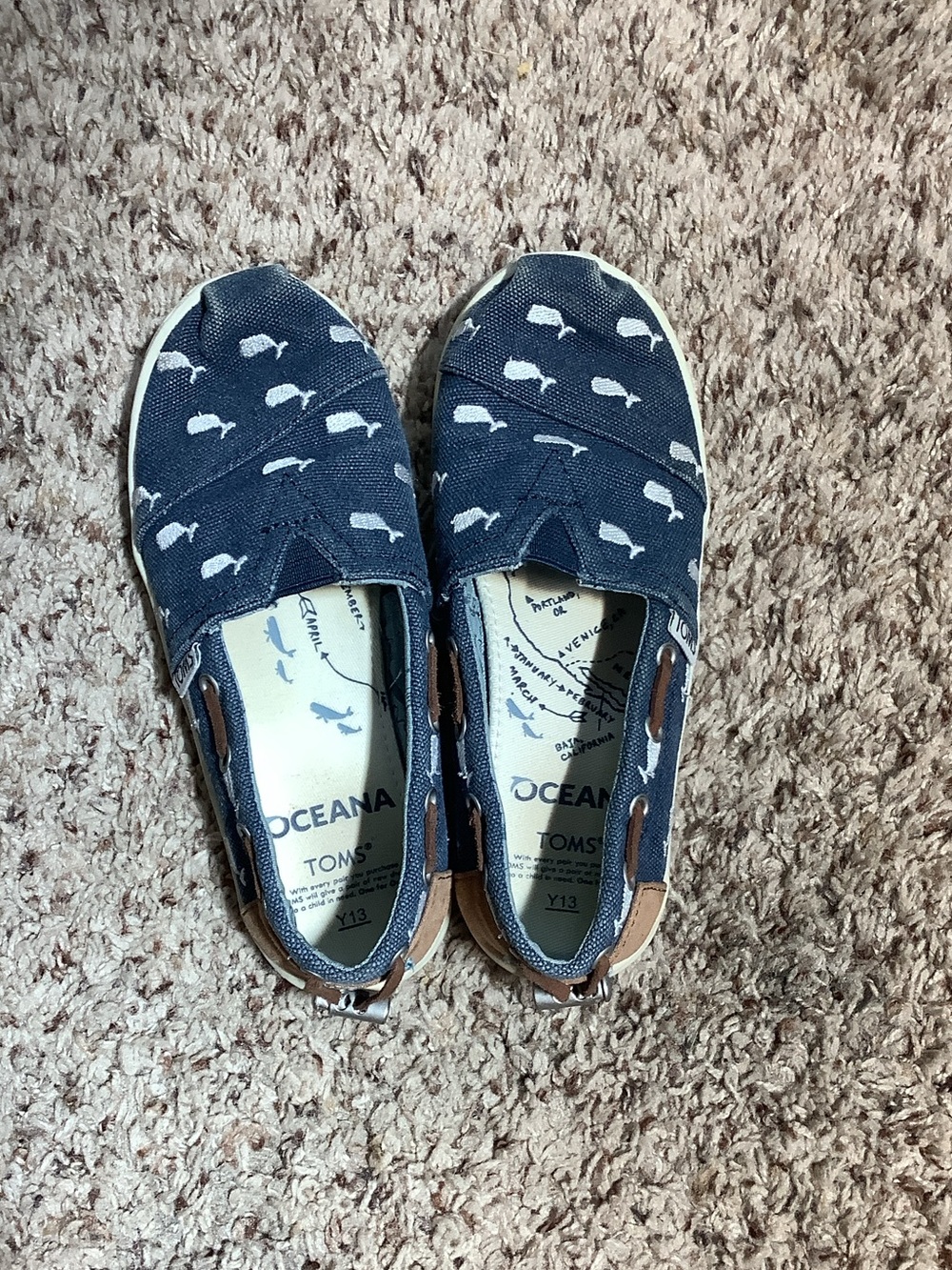 Tom’s Oceana Youth 13 Slides-Whales